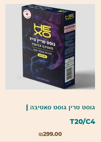 גוסט טרין הייז